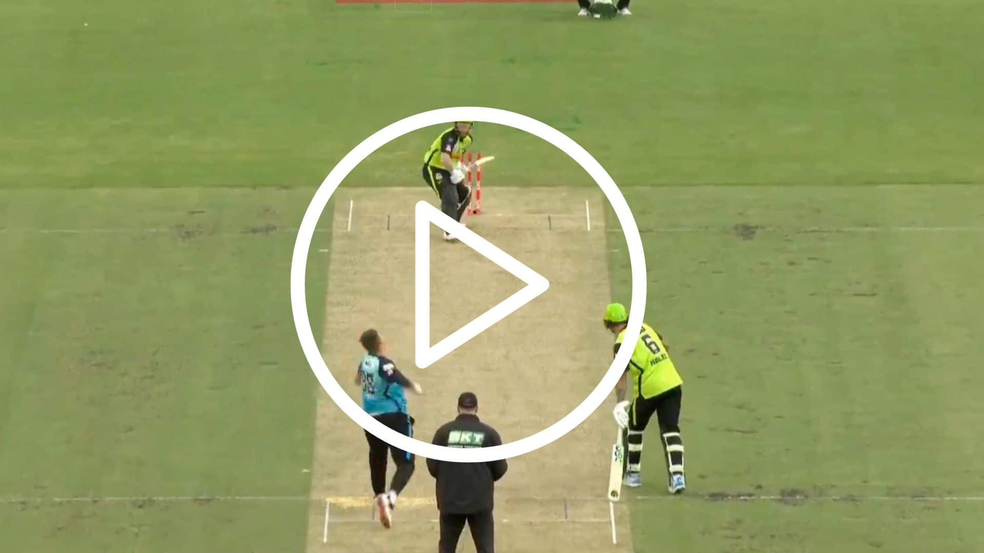[WATCH] David Warner Departs As Sydney Thunder Jolted Early By Strikers In BBL 2023-24